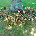 trombonecollection